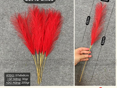 Cành cỏ lau nhiều màu sợi nhân tạo [Sợi tơi - Bung đều] D40-80cm CANHLA-08